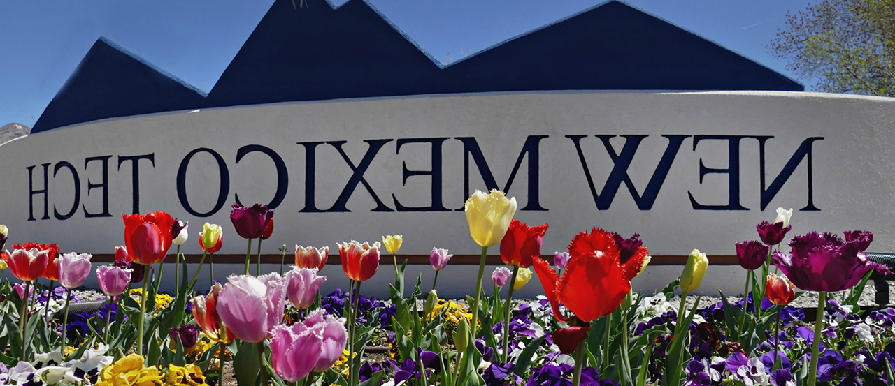 Images of flowers in front of signs around campus.